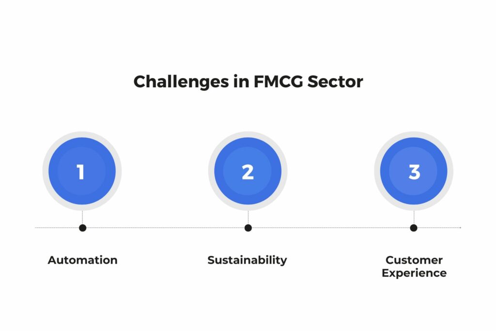 B2B Ecommerce Challenges in the FMCG Sector