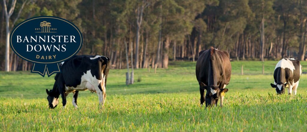 Bannister Downs Dairy