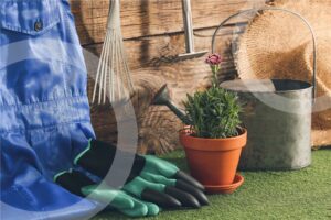 Cloudfy B2B Ecommerce Platform for Home & Garden Suppliers