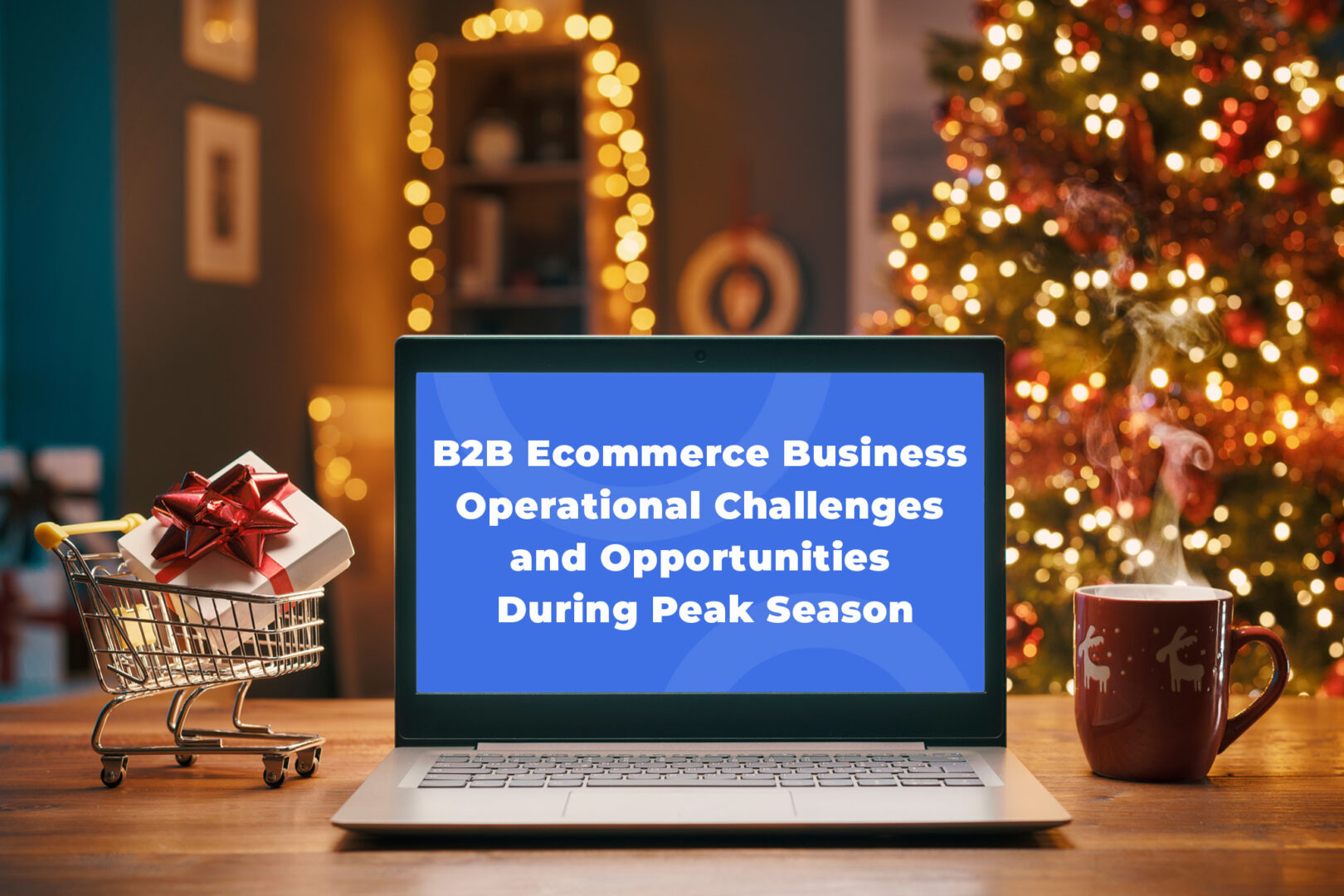 B2B Ecommerce Business Challenges & Opportunities During Peak Season