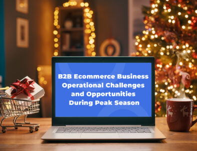 B2B ecommerce business operational challenges