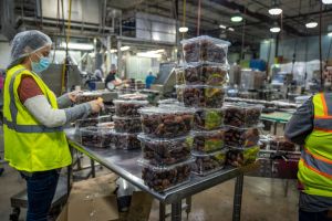 Cloudfy B2B Ecommerce for Packaging Distributors – Summer Digital Growth