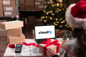 Cloudfy B2B eCommerce Platform Ensuring Peak-Season Resilience